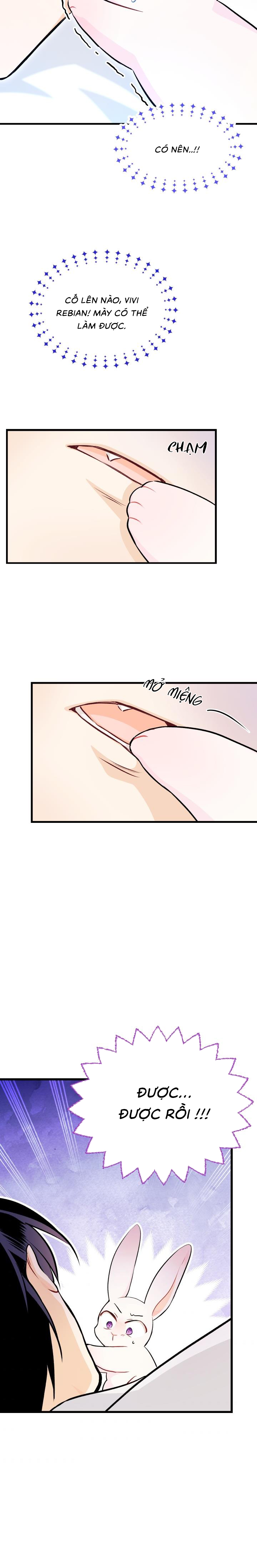 mối liên kết giữa báo đen và bé thỏ chapter 16 14