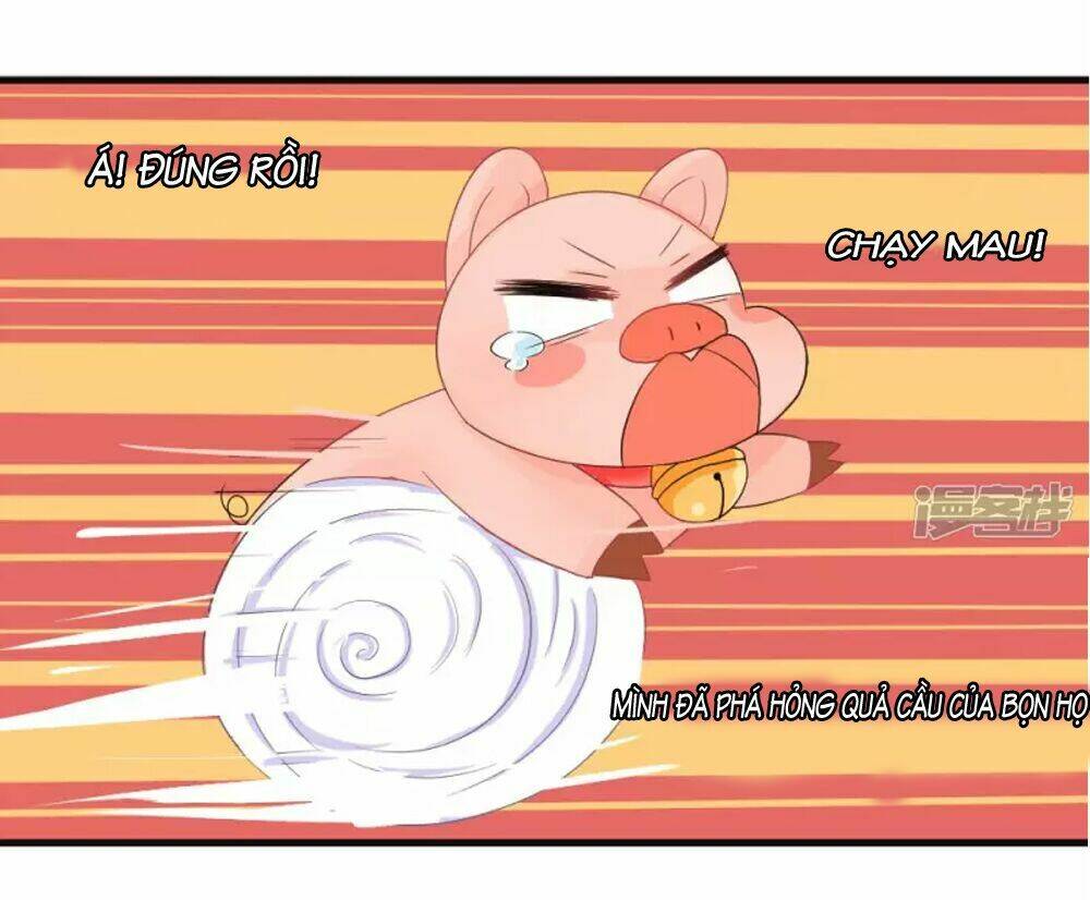 đệ tử của ta là heo chapter 3 25