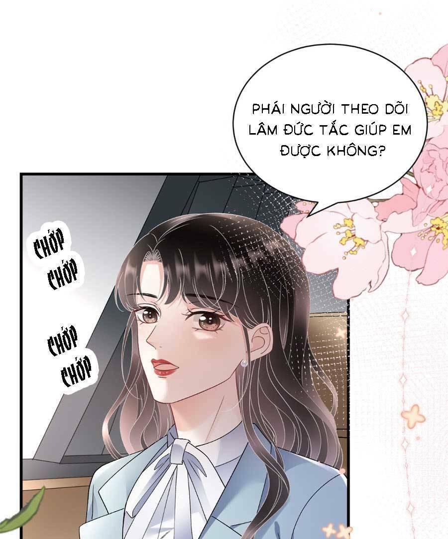 đại tiểu thư có ý đồ gì xấu đâu chapter 166 19