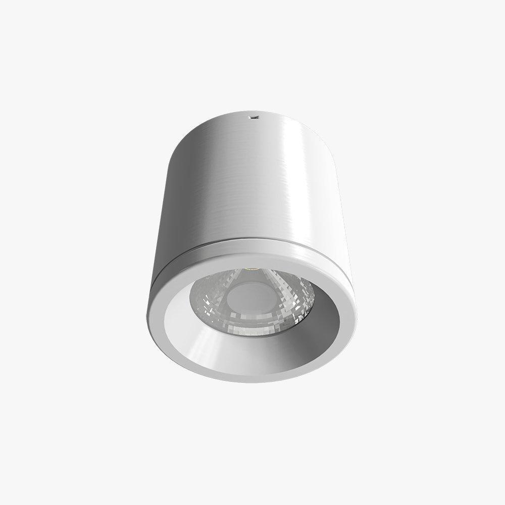 Đèn downlight nổi trần Ánh sáng trắng/vàng phi 90mm, 110mm. Model NT01