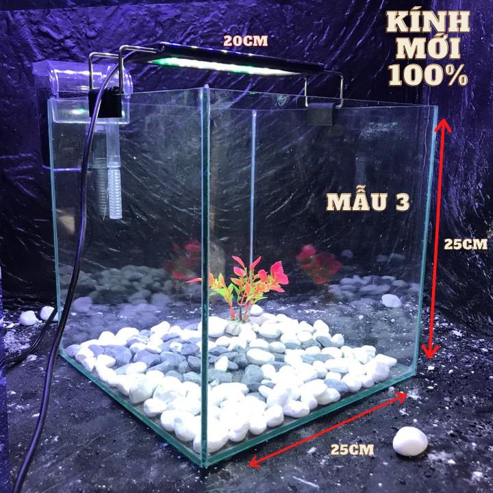 Bể cá cubic 25cm combo đầy đủ phụ kiện - bể cá mini - bể cá để bàn mini - bể cá mini