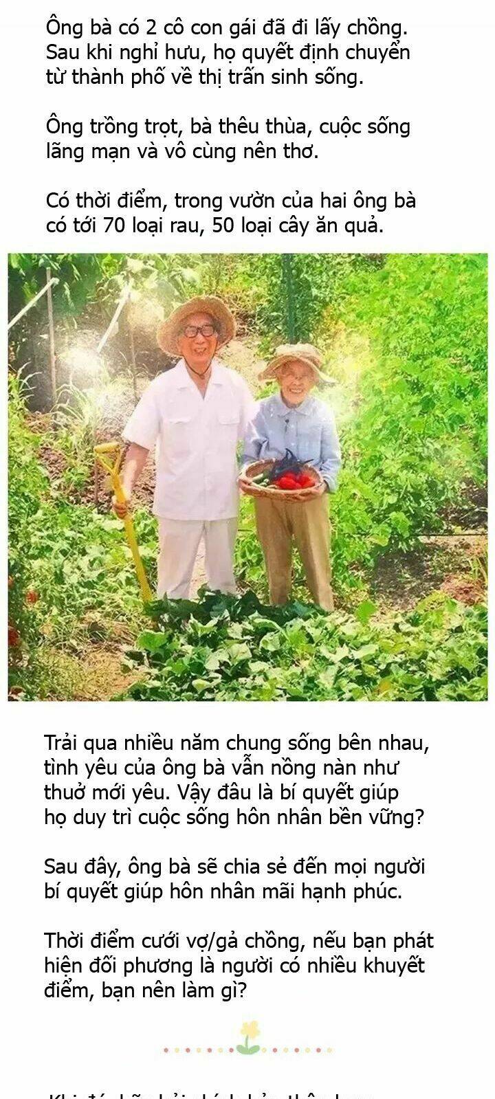 giải mã tình yêu chapter 277 3