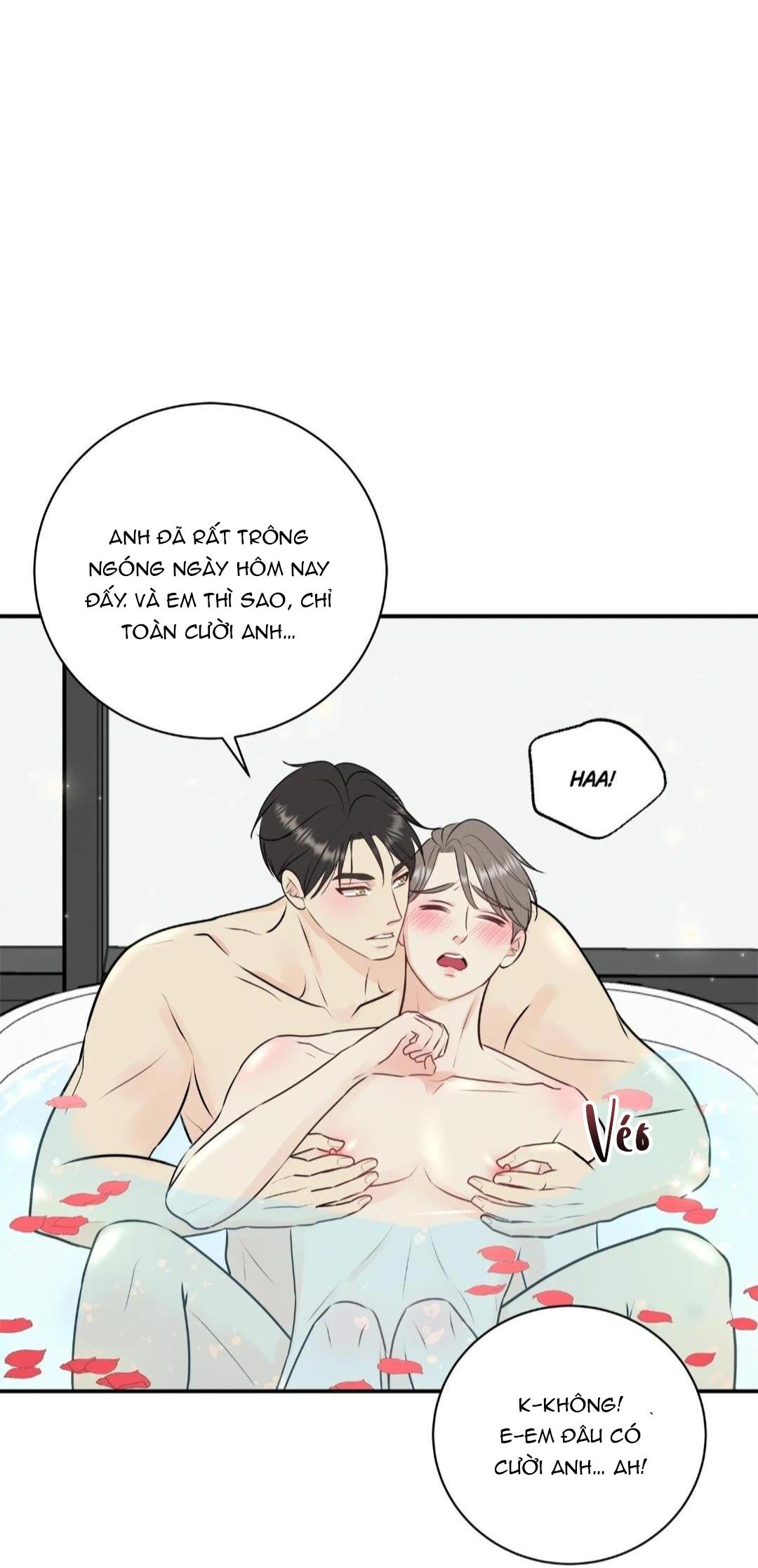 hạnh phúc trọn vẹn chapter 22 39