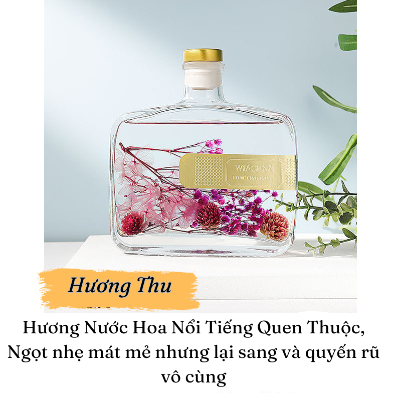 Tinh Dầu Thơm Phòng khuếch tán cắm que bản mới 200ml Hương Liệu Thiên Nhiên Tự Khuếch Tán khử mùi không khí