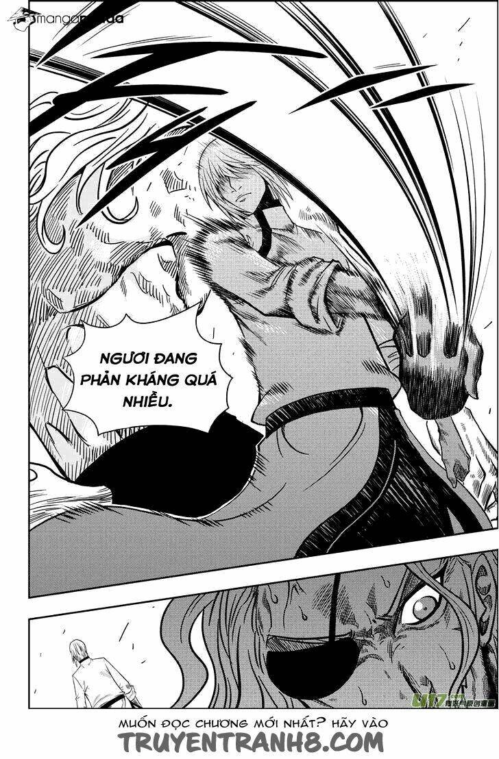 macrophage regulation chapter 6 23