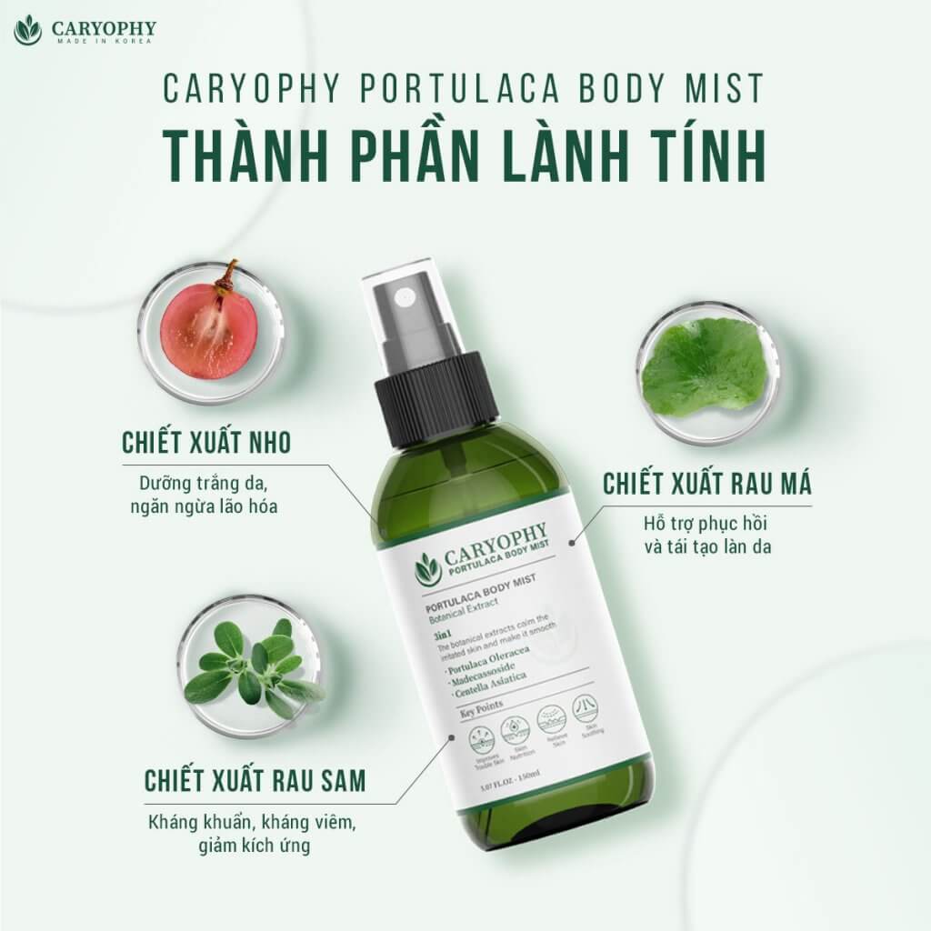 Xịt Mụn Lưng giảm mụn mờ thâm Caryophy Portulaca Body Mist 150ml