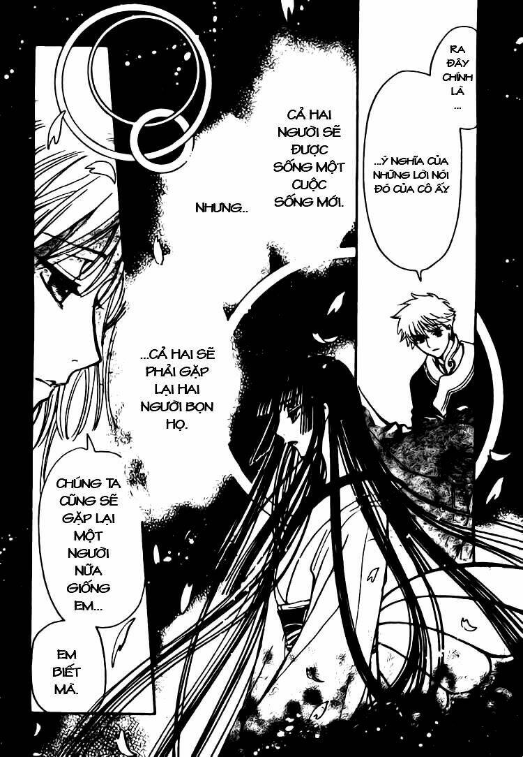 huyền thoại đôi cánh chapter 223 8