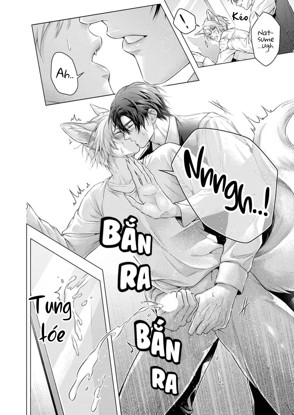 hãy để anh chạm vào cái đuôi hư hỏng này nhé chapter 3 22