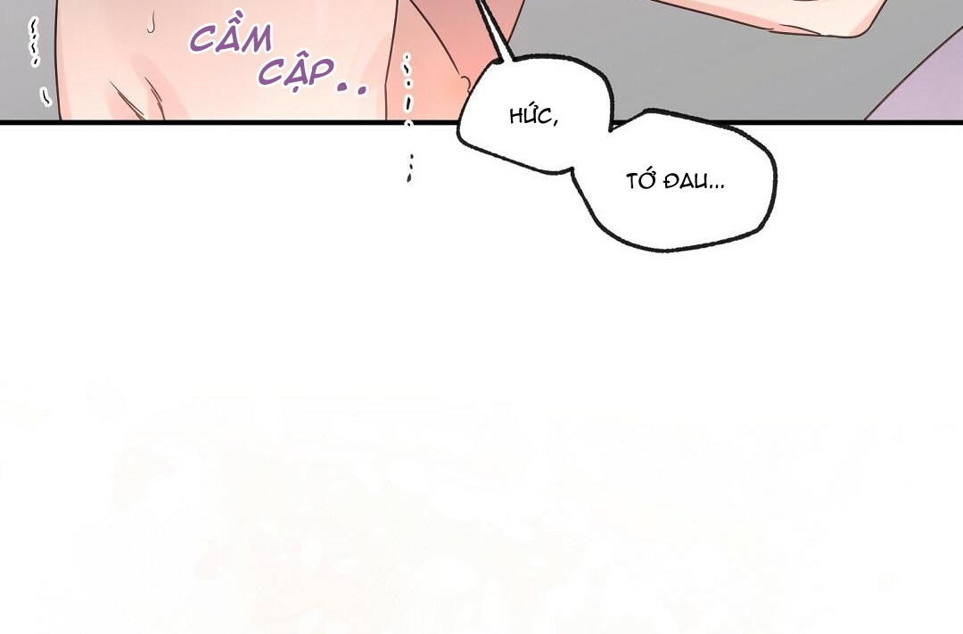 phức cảm tự ti của omega chapter 19 111