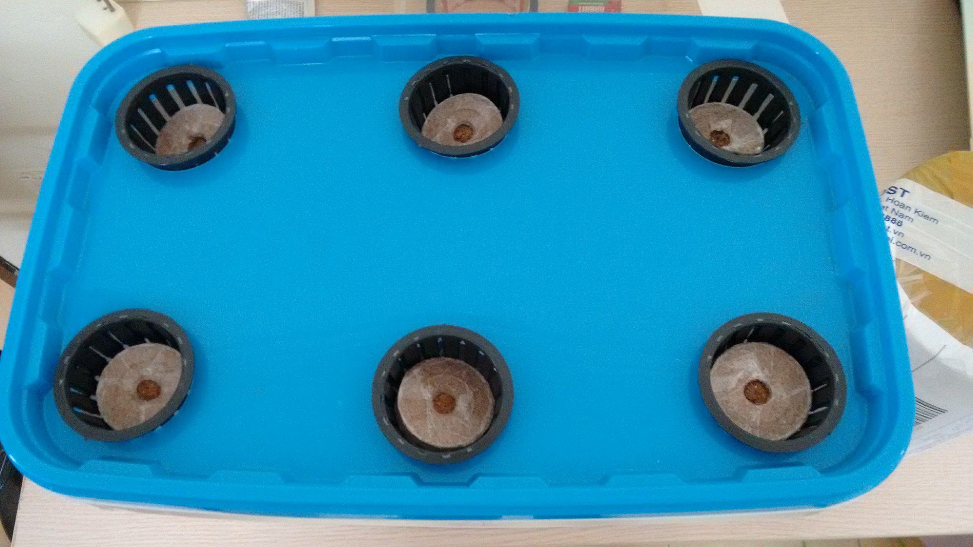 Bộ 3 THÙNG TRỒNG THỦY CANH GROWBOX LEAFTY CHO RAU ĂN LÁ