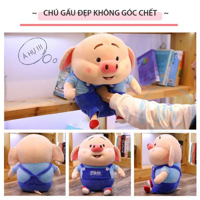 GẤU BÔNG HEO BÔNG ÁO SIÊU DỄ THƯƠNG