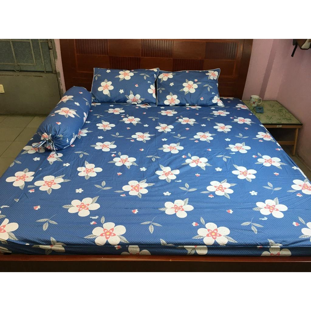 Bộ Drap Cotton THẮNG LỢI 4 món /