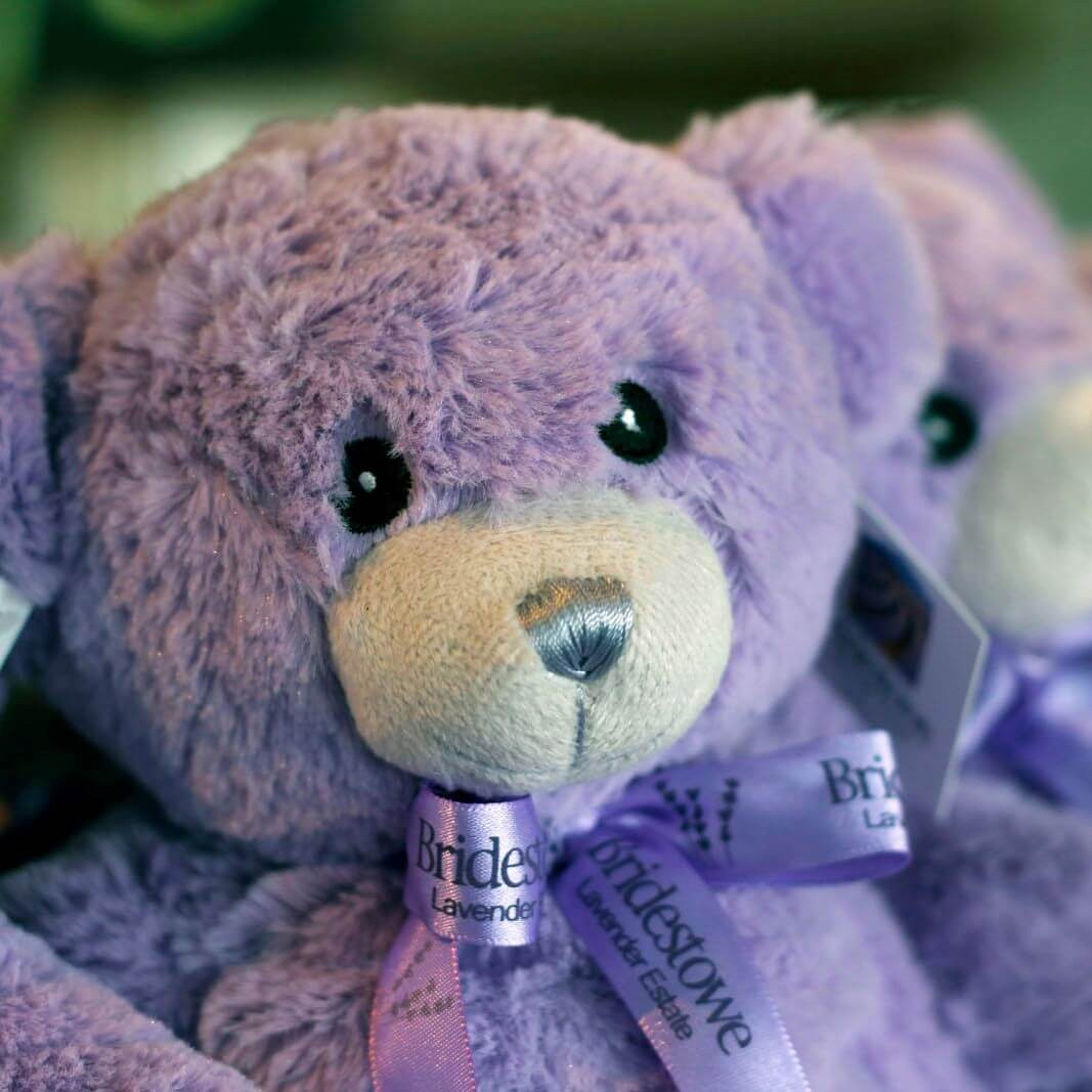 Gấu bông Úc nhồi nụ hoa oải hương Lavender và hạt lúa mạch Baby Bobbie Bear Bridestowe hương thơm dịu nhẹ, làm ấm bằng lò vi sóng