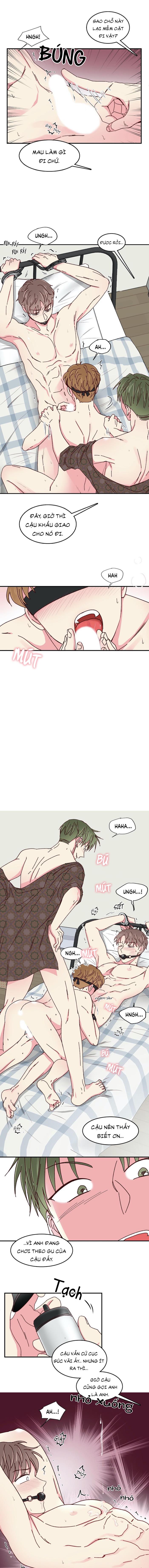 món tráng miệng của sếp tổng chapter 28 9