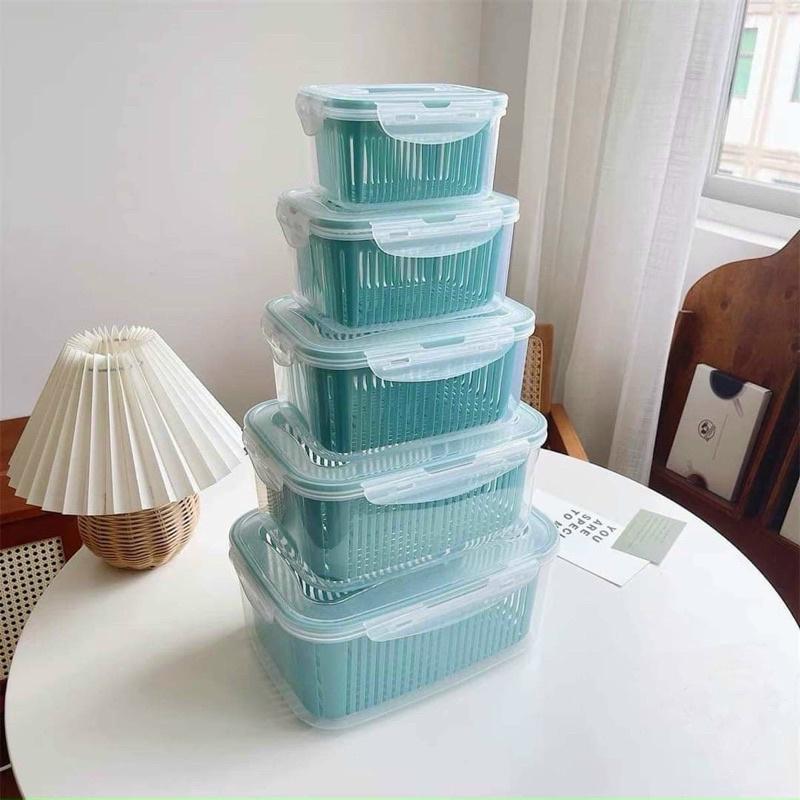 Bộ 5 hộp nhựa 2 lớp đựng thực phẩm, thức ăn, rau củ quả bảo quản trong tủ lạnh có nắp đậy và quai xách
