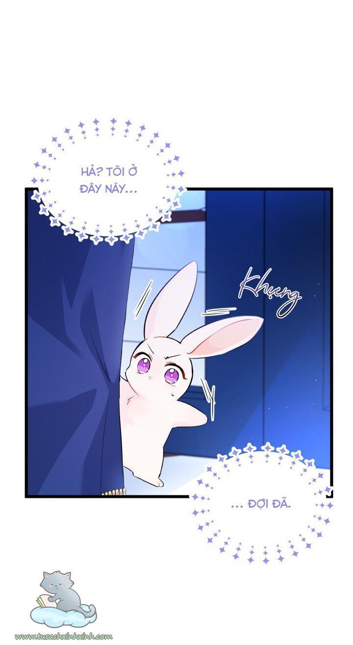 quan hệ cộng sinh giữa báo đen và thỏ trắng chapter 46 38