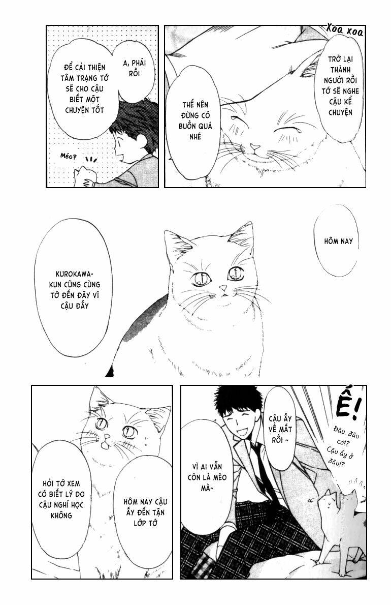 neko neko honey chapter 4 6