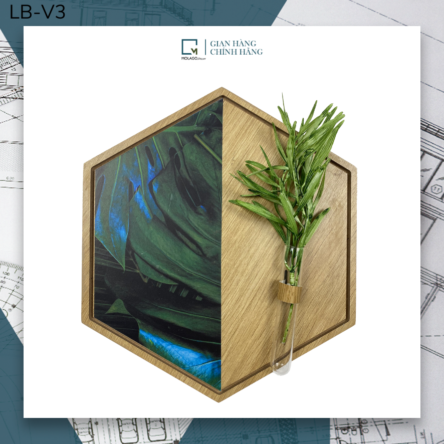 Kệ lục giác trang trí, kệ dán tường hình tổ ong decor phòng, kệ cắm hoa treo tường MOLAGO LB-V