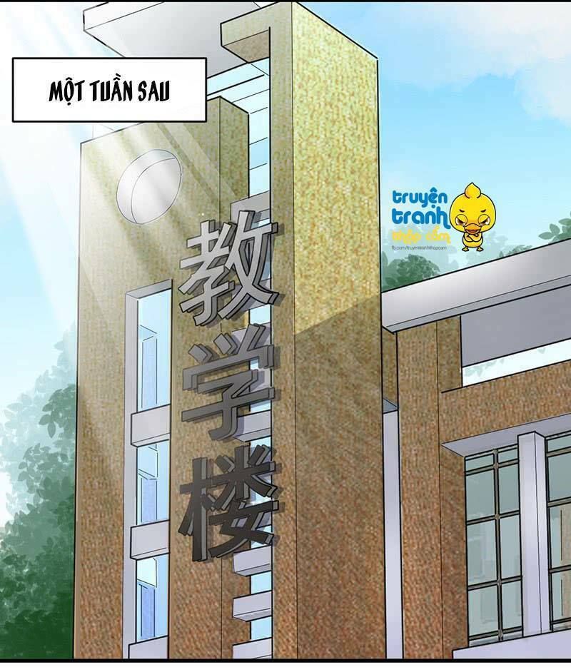 chọc tới chủ tịch tổng tài 2 chapter 26 9