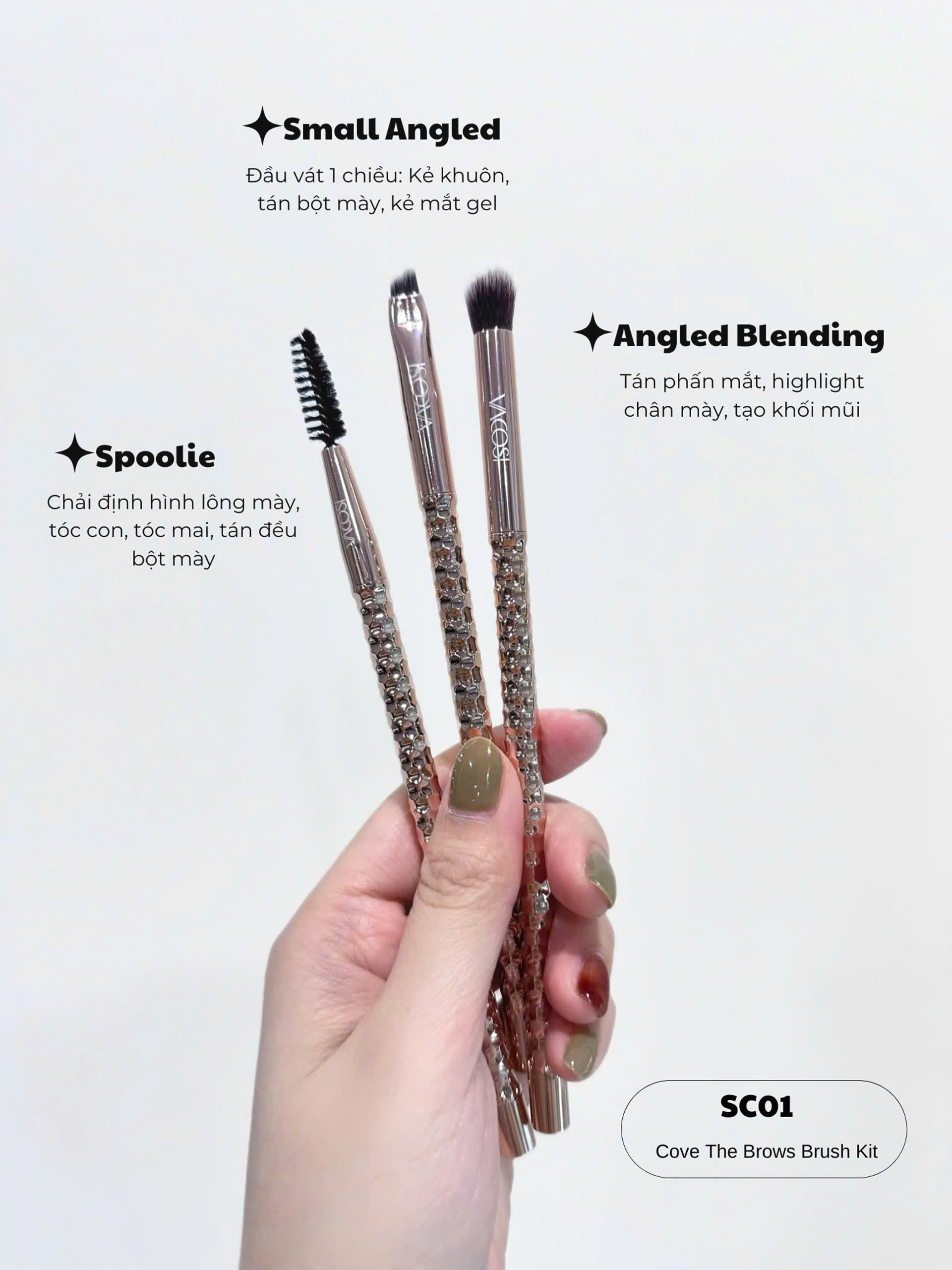 SC01 - BỘ KIT 3 CỌ CHÂN MÀY VACOSI, PHIÊN BẢN GOLDEN DRAGON - VACOSI COVE THE BROWS BRUSH KIT, 3PCS