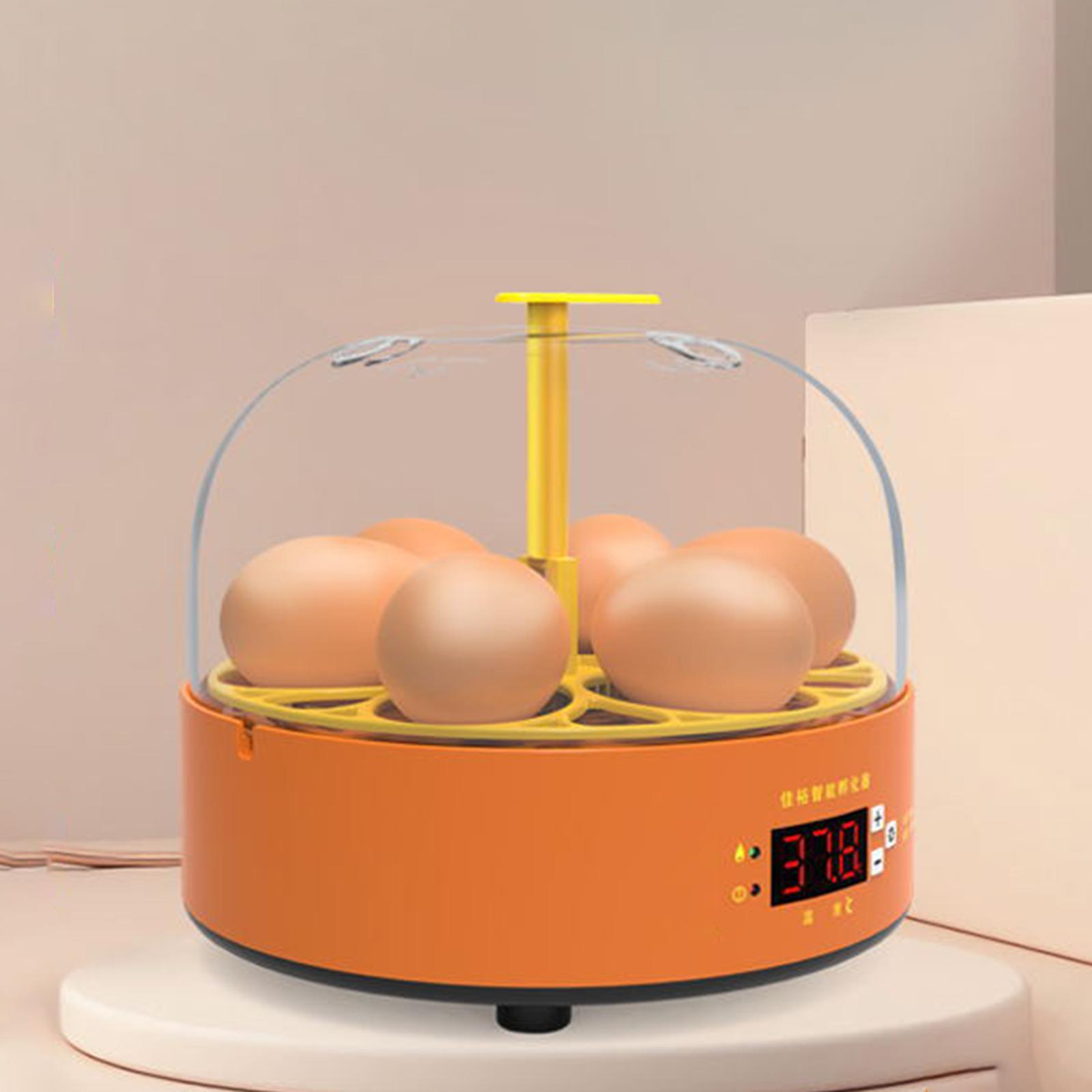 Eggs Incubator Children Temperature Controller Manual Turning Lamp