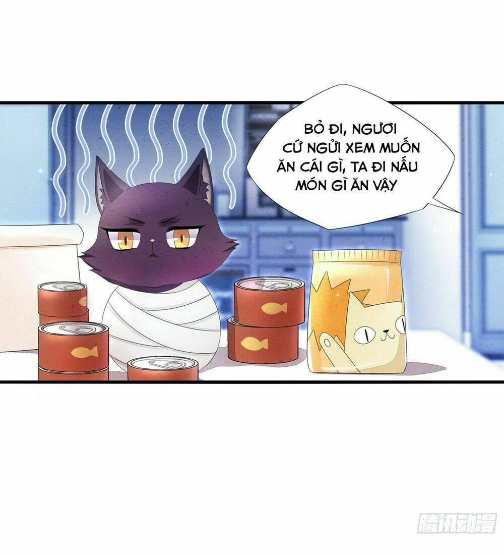 làm mèo của ta chapter 2 9
