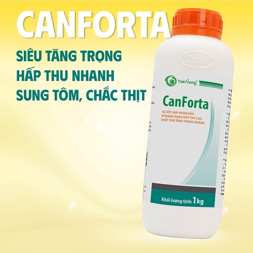 SIÊU TĂNG TRỌNG CHO TÔM CÁ CANFORTA