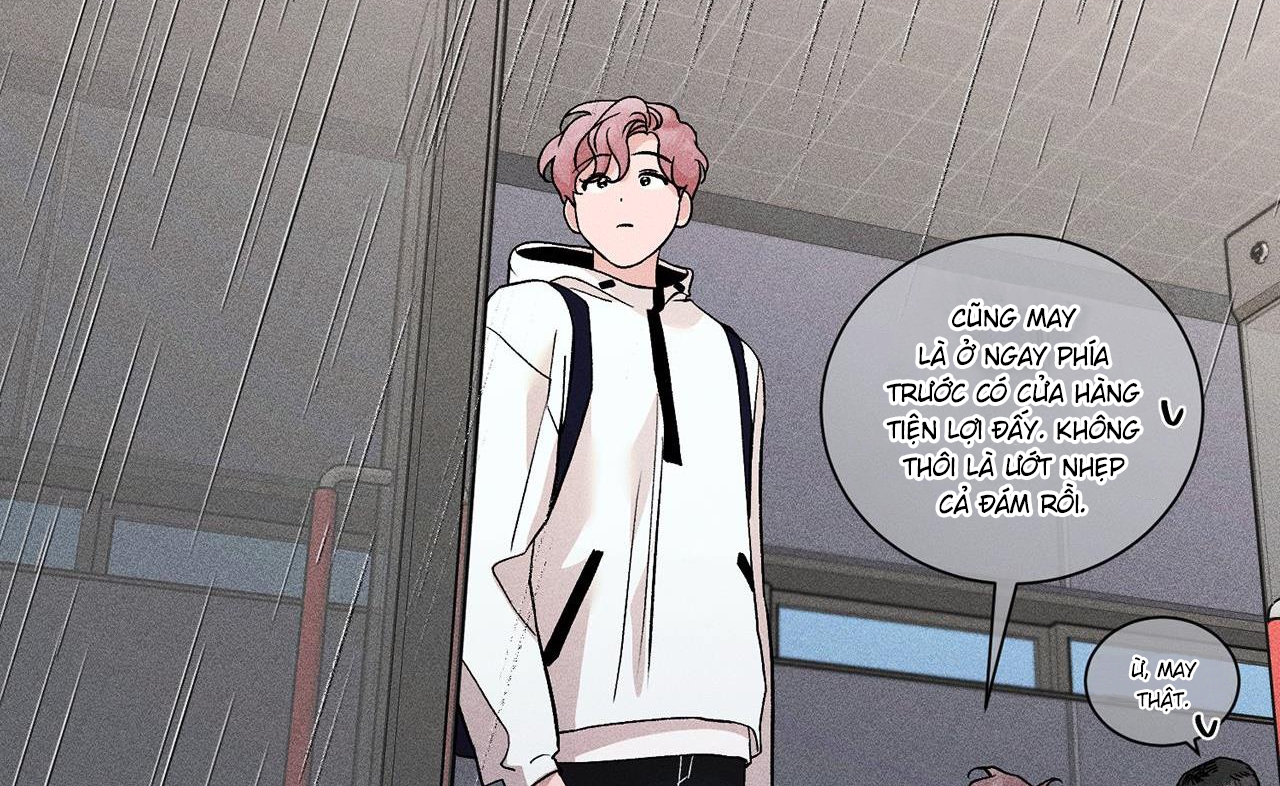 người yêu của anh chapter 11 35