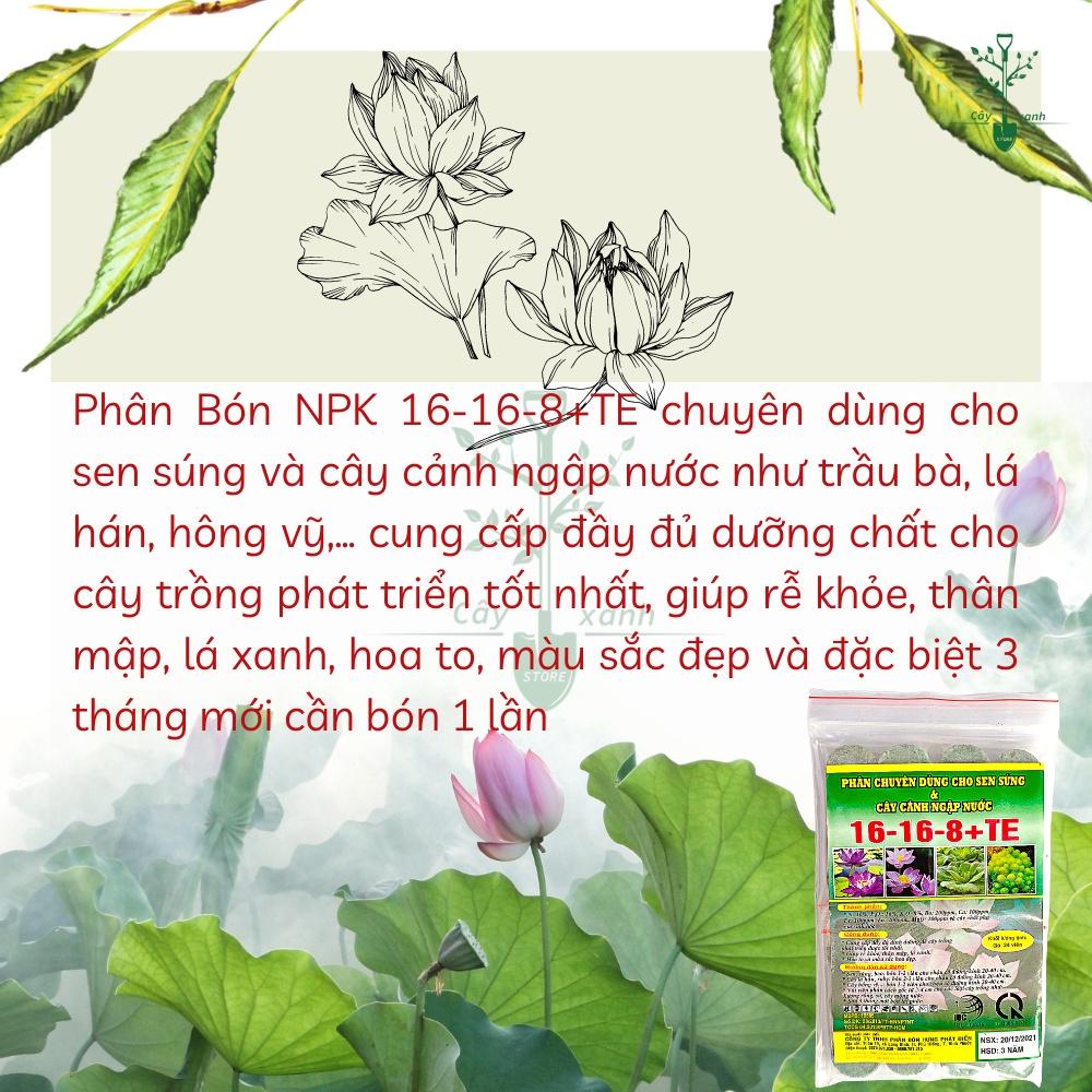 Phân Bón Hoa Sen Và Cây Ngập Nước NPK 16-16-8+TE Gói 24 Viên