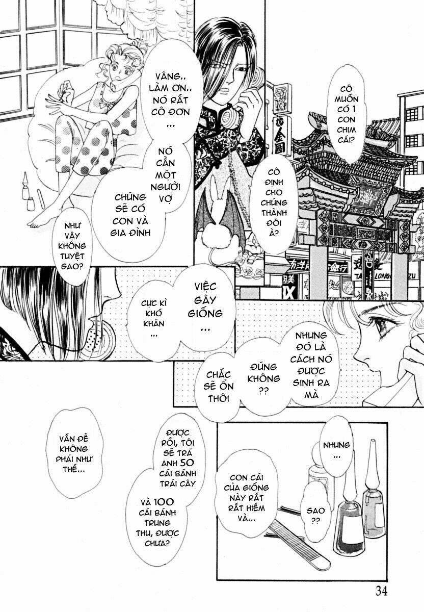 petshop of horrors chapter 1 36