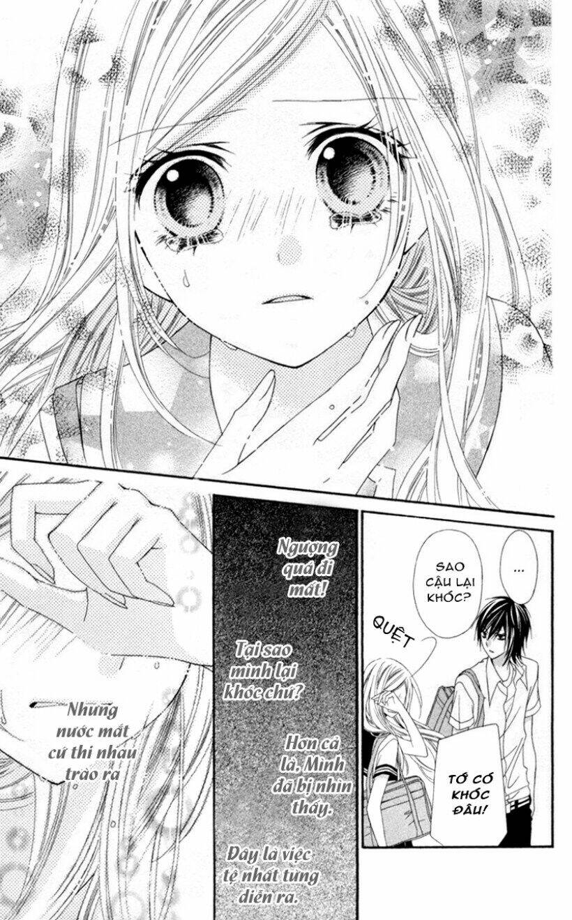 stardust wink chapter 3 23