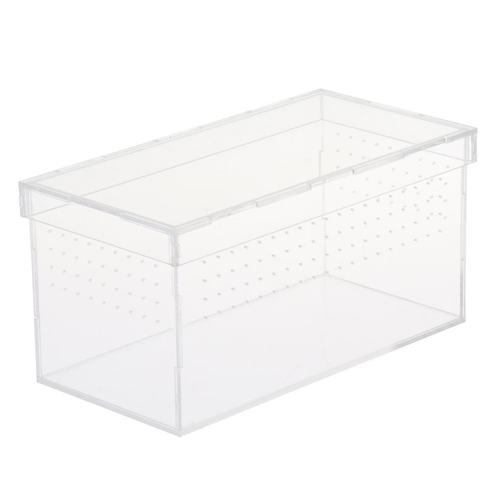 Transparent Acrylic Reptile Box Terrarium Pet Insect Breeding Box