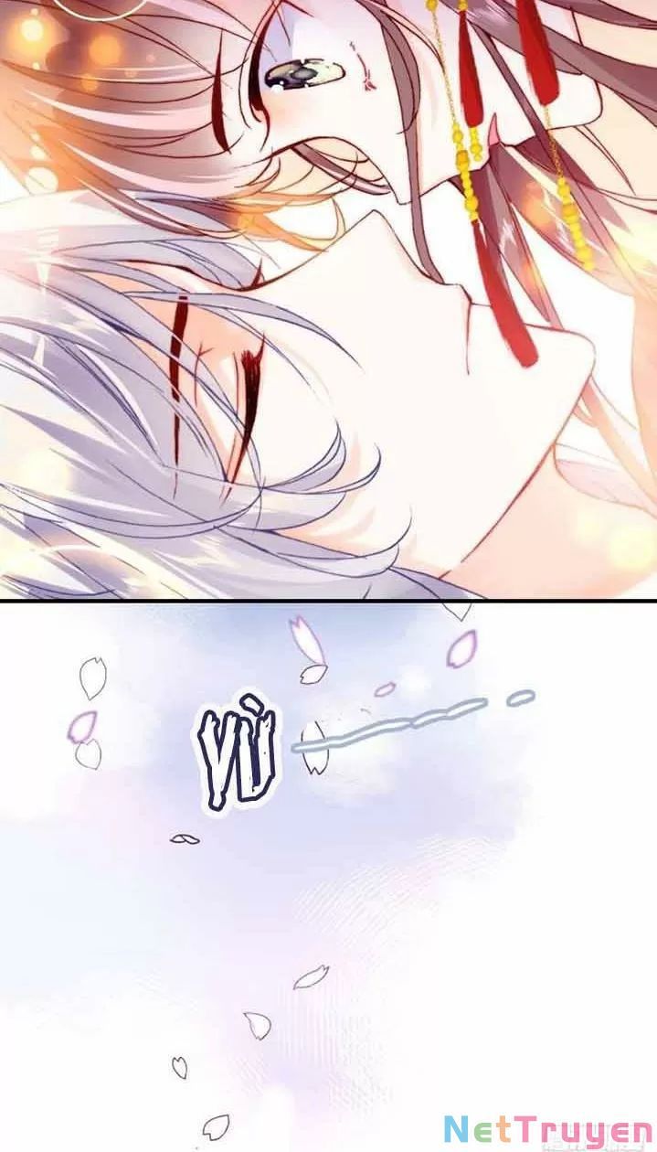 lại bị bệnh chiều chuộng quấn lấy chapter 5 12