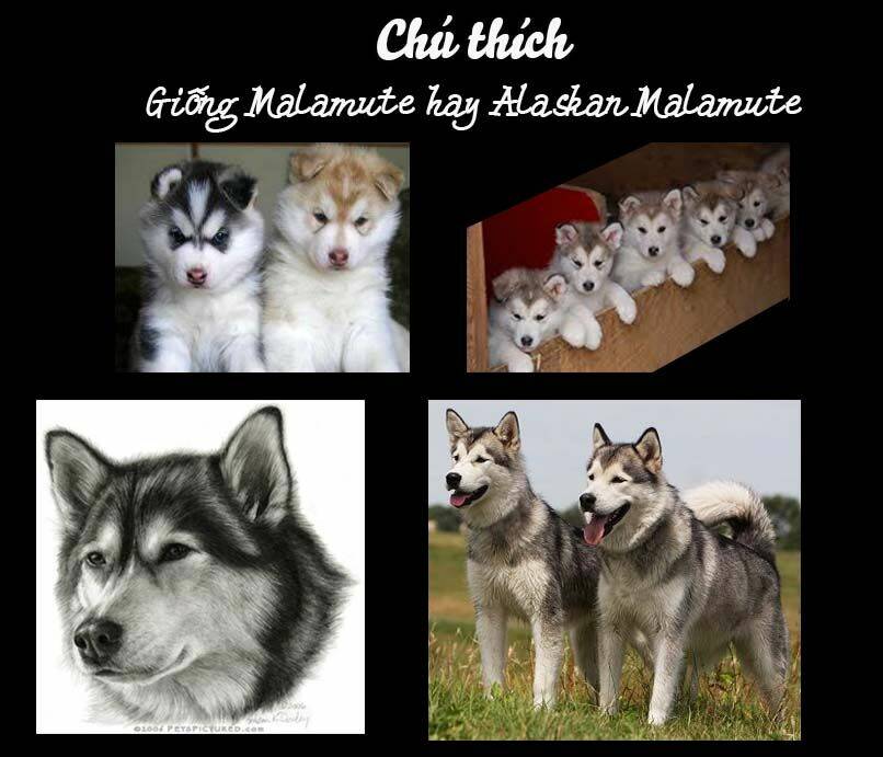 cutie boy chapter 15 58