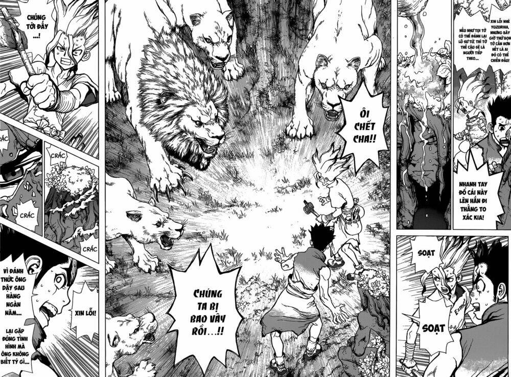 dr.stone - hồi sinh thế giới chapter 3 16