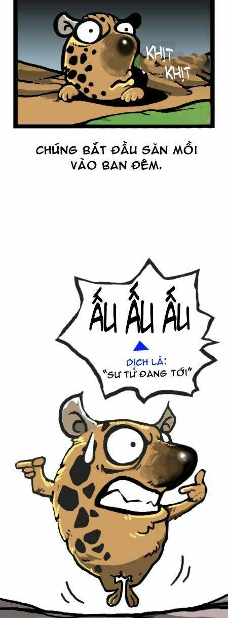 earth, human, and animal chapter 9 6