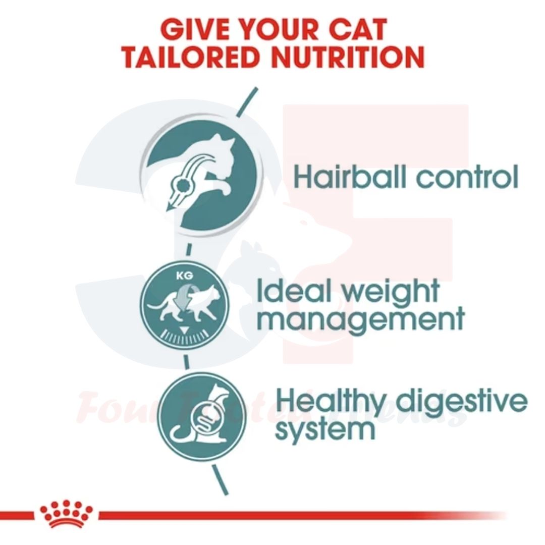 Pate Thức Ăn Ướt Dạng Sốt Hỗ Trợ Tiêu Búi Lông Dành Cho Mèo Trưởng Thành Royal Canin Hairball Care Gravy - Gói 85g