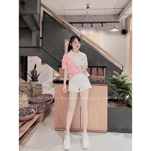 ÁO POLO CÁ SẤU PHỐI MÀU HOT HIT- Hinhin