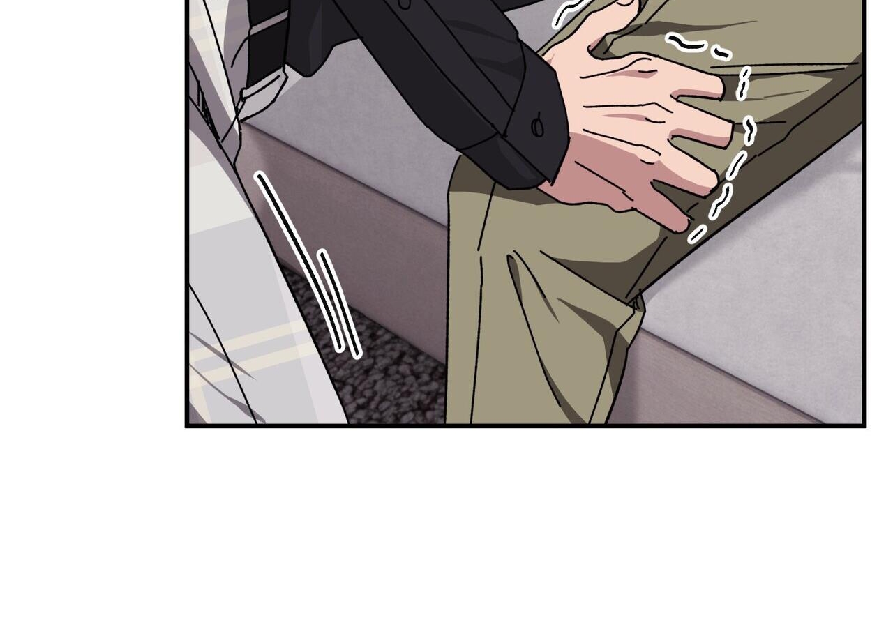 chàng dâu nhà họ kang chapter 34 85