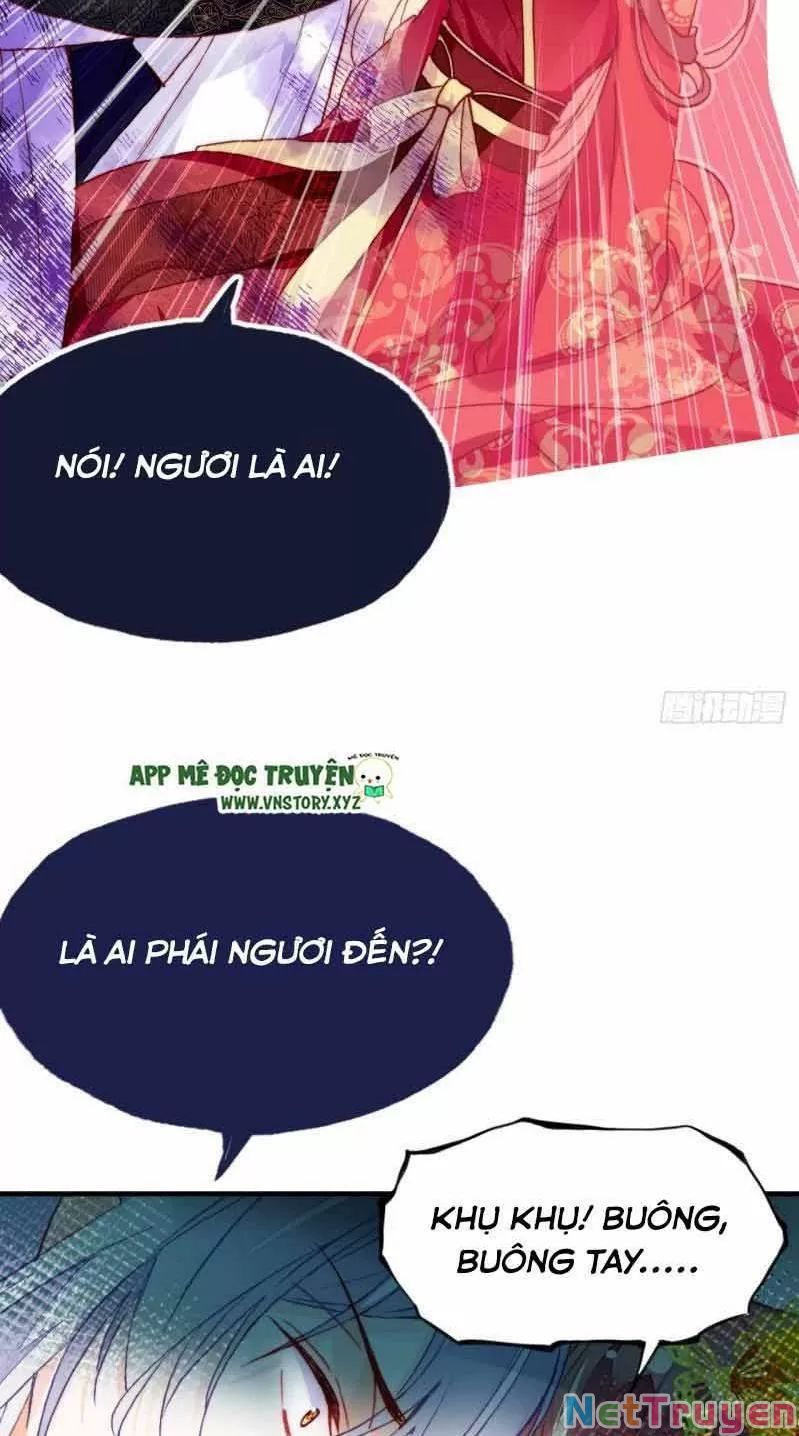 lại bị bệnh chiều chuộng quấn lấy chapter 2 28