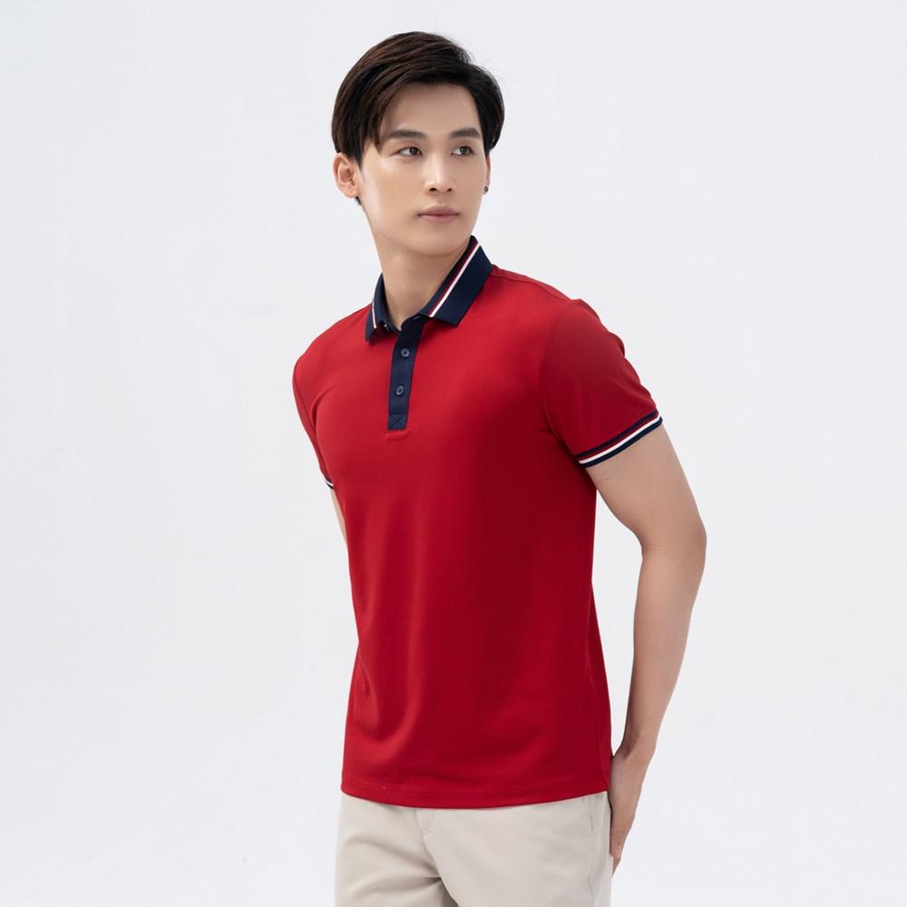 Áo polo YODY nam thun coolmax áo phong thoáng mát bo cổ phối màu APM5181