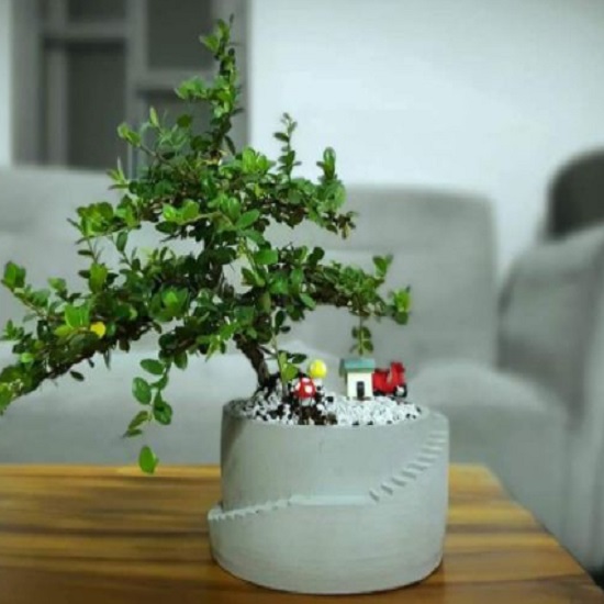 CHẬU HOA MINI ĐỂ BÀN CORI - chậu cây xi măng hình bậc thang kích thước 18x18x8.5cm, hàng thủ công mỹ nghệ cao cấp SeeArt