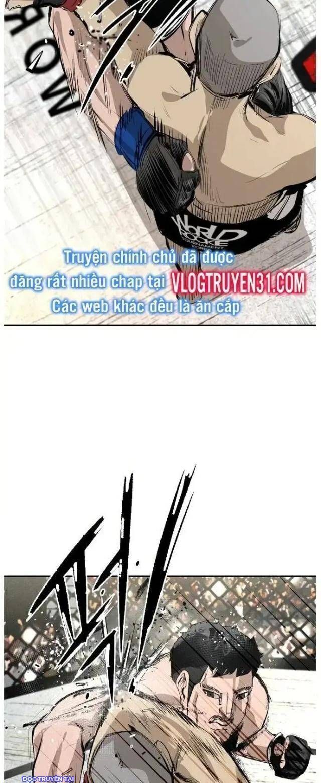 shark - cá mập chapter 146 15