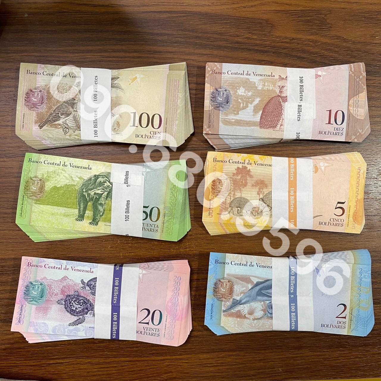 Bộ Tiền Venezuela 6 Tờ Đẹp Căng Đét Kèm Bao lì Xì Lucky Money