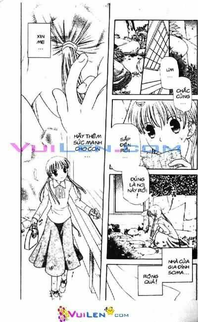 giỏ trái cây - fruit basket chapter 19 46