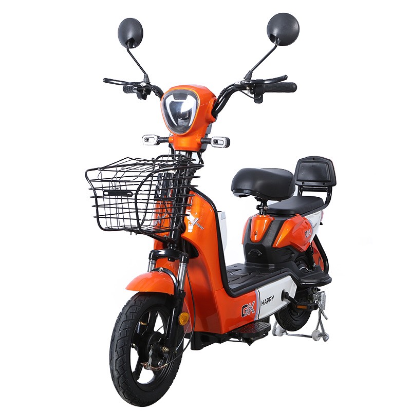 Xe Đạp Điện Phiên Bản Mới Nhất Hàng Tiêu Chuẩn Quốc Gia