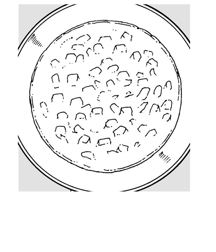 mắc kẹt trên mặt trăng chapter 6 39