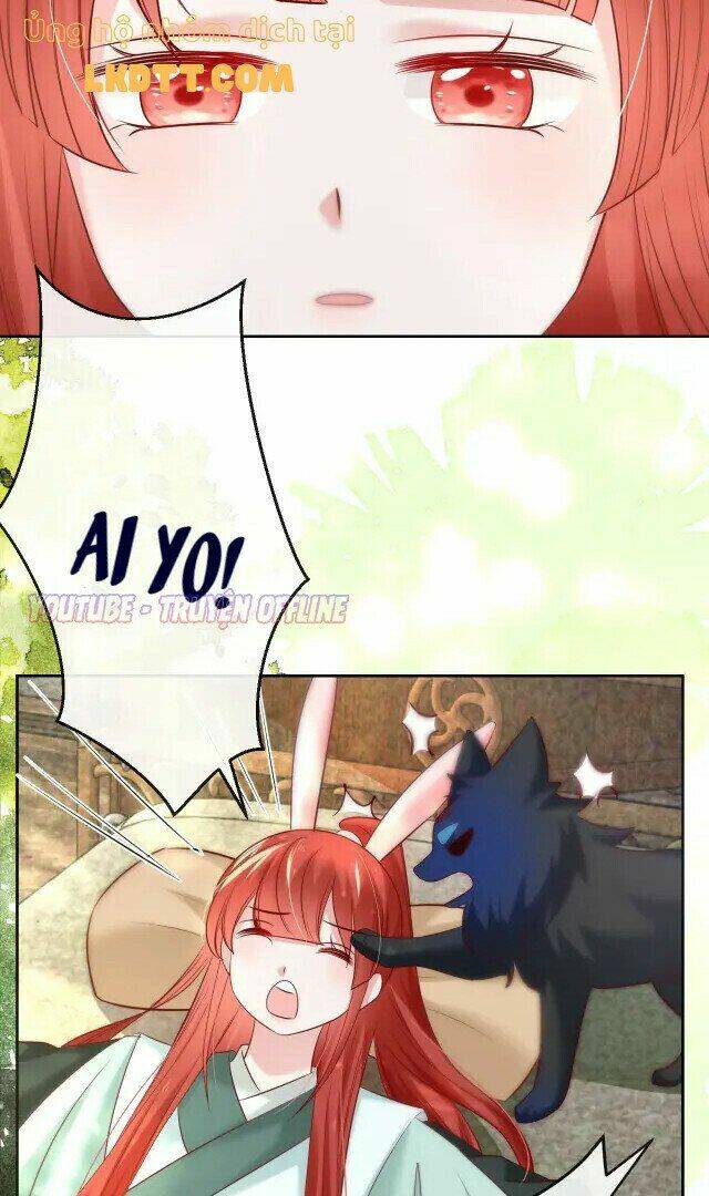 hắc hóa nam chính trực tuyến nuôi thỏ chapter 29 26