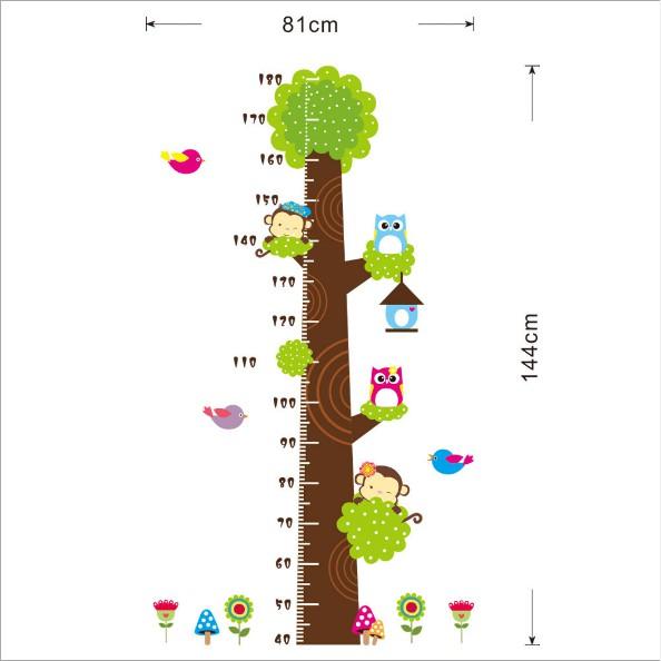 Decal trang trí Thước đo Cây Xanh Cú Mèo mới