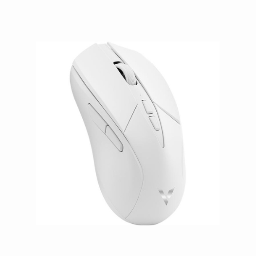 Chuột Gaming Không Dây Rapoo V300SE Dual Mode - USB 2.0/Wireless 2.4G - Hàng Chính Hãng